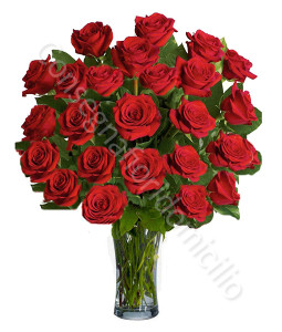 consegna-fiori-a-domicilio-24-rose-rosse