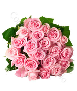 consegna-fiori-a-domicilio-bouquet-20-rose-rosa