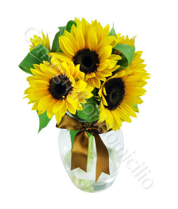 consegna-fiori-a-domicilio-bouquet-tre-girasoli