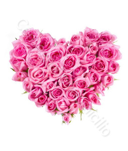consegna-fiori-a-domicilio-cuore-rose-rosa