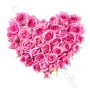 consegna-fiori-a-domicilio-cuore-rose-rosa