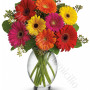 consegna-fiori-a-domicilio-bouquet-gerbere-colorate