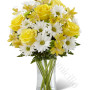 consegna-fiori-a-domicilio-bouquet-rose-gialle-margherite-bianche