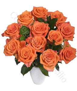 consegna-fiori-a-domicilio-12-rose-arancio