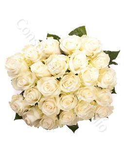 consegna-fiori-a-domicilio-bouquet-24-rose-bianche