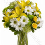 consegna-fiori-a-domicilio-bouquet_di_rose_gigli_margherite_garofani_crisantemi