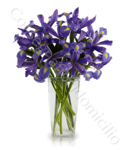 consegna-fiori-a-domicilio-bouquet_iris_blu