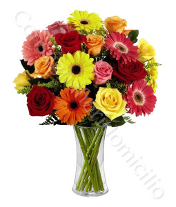 consegna-fiori-a-domicilio-bouquet_rose_gerbere_colorate