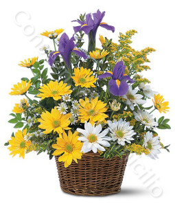 consegna-fiori-a-domicilio-cesto_margherite_iris
