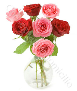 consegna-fiori-a-domicilio-sette_rose_rosse_rosa