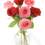 consegna-fiori-a-domicilio-sette_rose_rosse_rosa