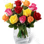 consegna-fiori-a-domicilio-12-rose-miste-arancio-rosso-rosa-giallo