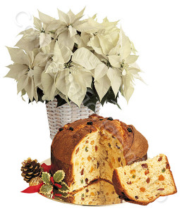 consegna-fiori-a-domicilio-stella-di-natale-bianca-panettone