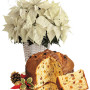 consegna-fiori-a-domicilio-stella-di-natale-bianca-panettone