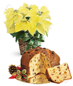 consegna-fiori-a-domicilio-stella-di-natale-gialla-panettone