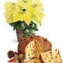 consegna-fiori-a-domicilio-stella-di-natale-gialla-panettone