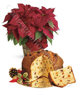 consegna-fiori-a-domicilio-stella-di-natale-rossa-panettone