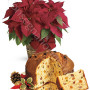 consegna-fiori-a-domicilio-stella-di-natale-rossa-panettone