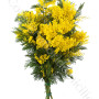 consegna-fiori-a-domicilio-fascio-mimosa