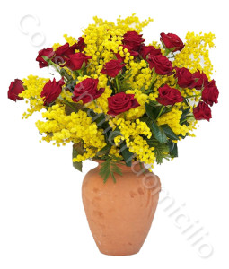 consegna-fiori-a-domicilio-roselline-rosse-mimosa