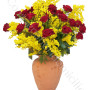consegna-fiori-a-domicilio-roselline-rosse-mimosa
