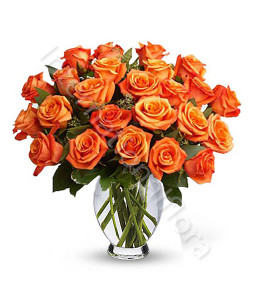 consegna-fiori-a-domicilio-bouquet-di-24-rose-arancio