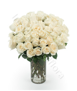 consegna-fiori-a-domicilio-bouquet-di-50-rose-bianche