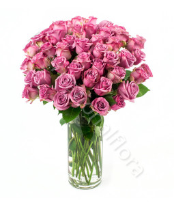 consegna-fiori-a-domicilio-bouquet-di-50-rose-rosa