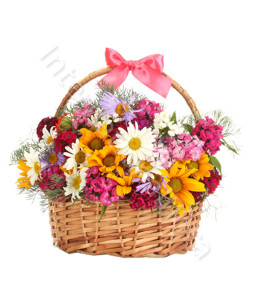 consegna-fiori-a-domicilio-cesto-di-margherite-e-fiorellini