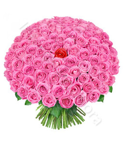 consegna-fiori-a-domicilio-laurea-110-e-lode-rose-rosa-e-rossa