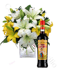 consegna-fiori-a-domicilio-amaro-lucano