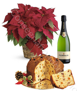 stella-di-natale-con-panettone-e-spumante