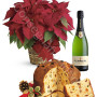 stella-di-natale-con-panettone-e-spumante