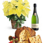 stella-di-natale-gialla-con-panettone-e-spumante