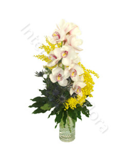 bouquet-di-orchidee-e-mimose