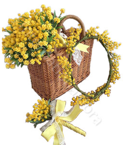 cesto-di-mimose-con-coroncina-e-mazzettino