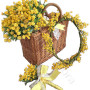 cesto-di-mimose-con-coroncina-e-mazzettino